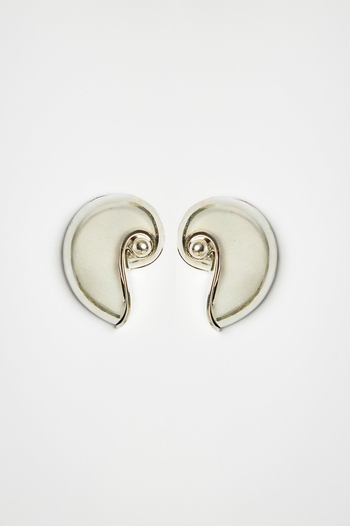 Large Seashell Earrings