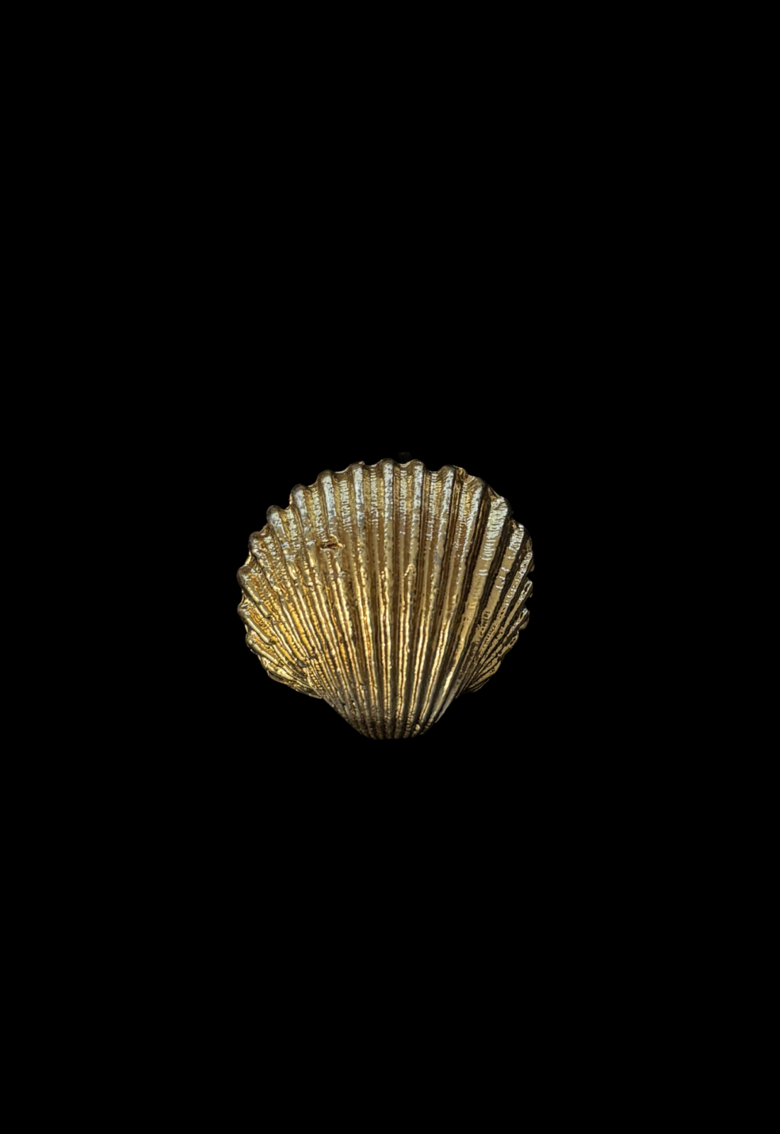 Seashell Ring