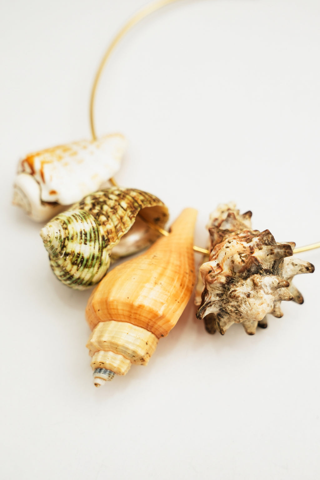Seashell Choker Necklace
