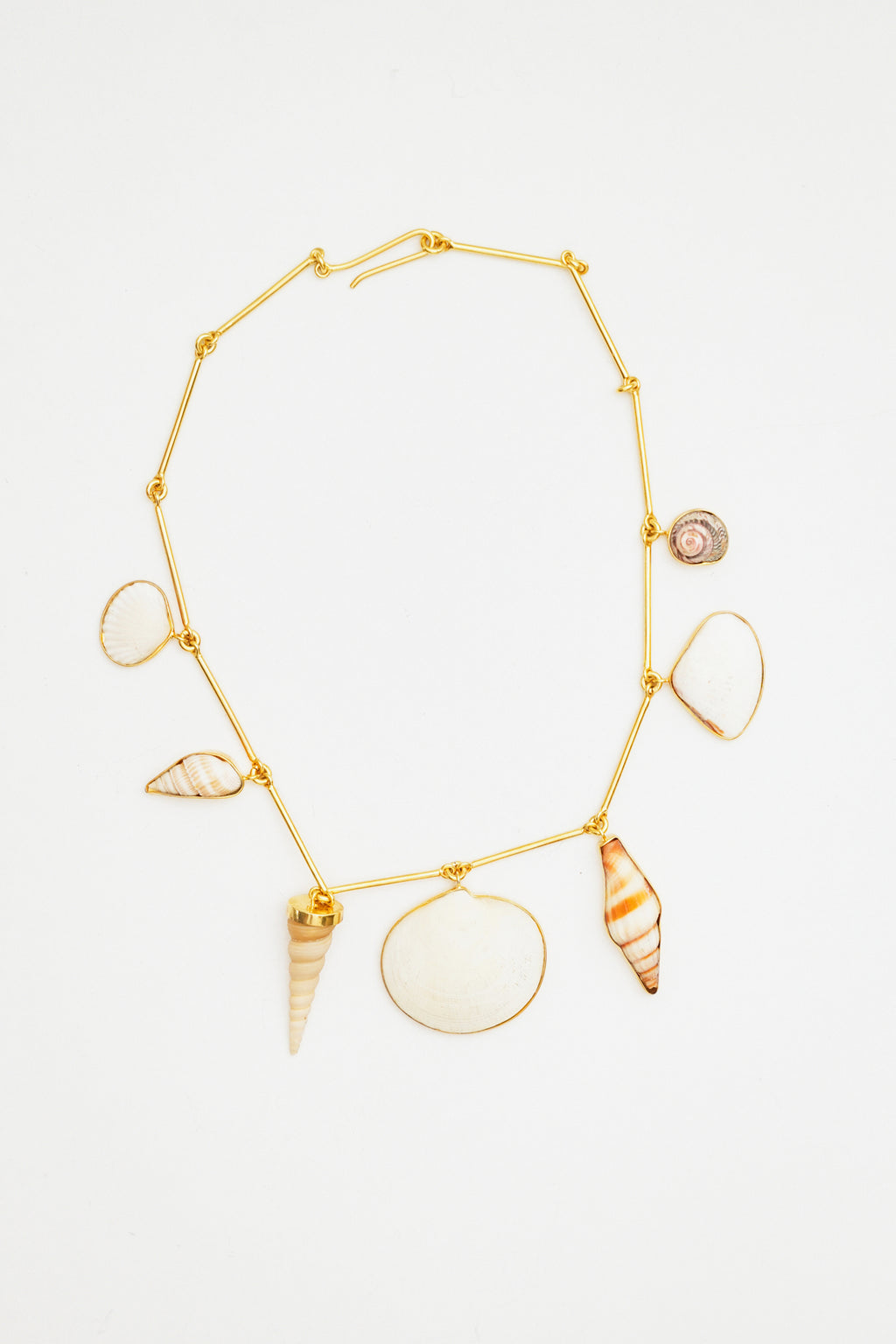 Connected Seashell Necklace