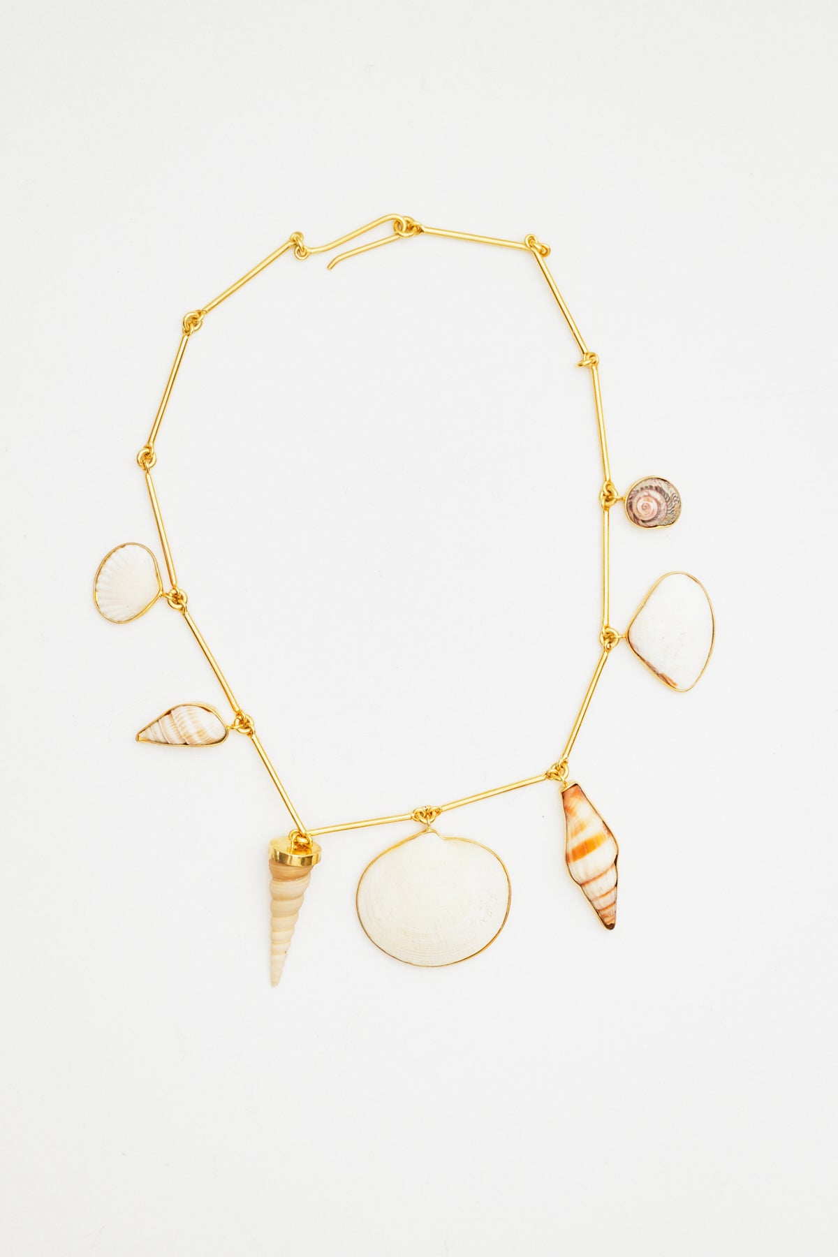 Connected Seashell Necklace