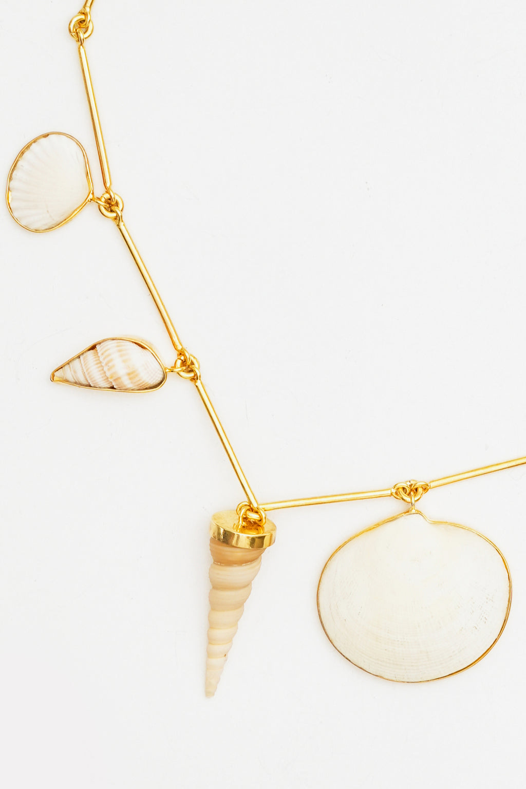 Connected Seashell Necklace