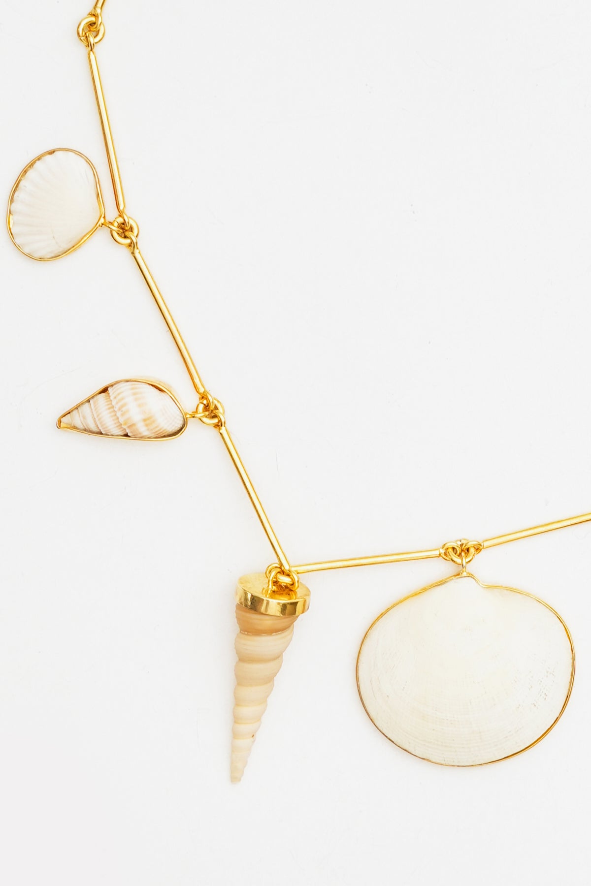 Connected Seashell Necklace