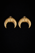 Crescent Moon Earrings