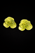 Pistachio Glossy Flower Earrings